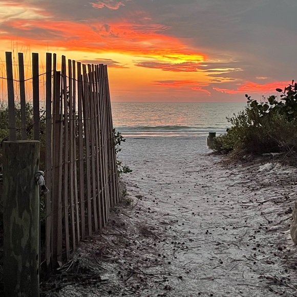 Meet your Posher, Stephanie - Picture 1 of 1